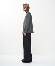 Load image into Gallery viewer, WASHABLE WOOL TURTLE
