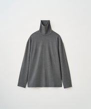 Load image into Gallery viewer, WASHABLE WOOL TURTLE
